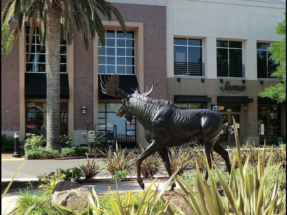 Locations in Roseville